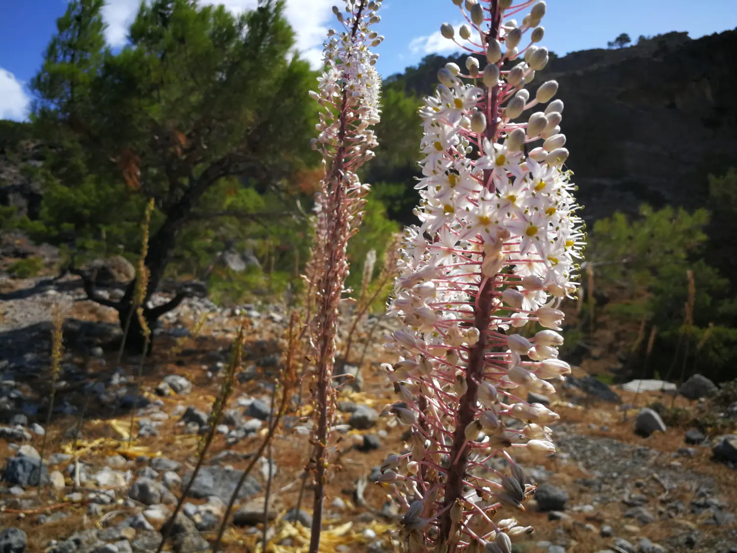 kreta Tourenbeschreibung von Bergspur