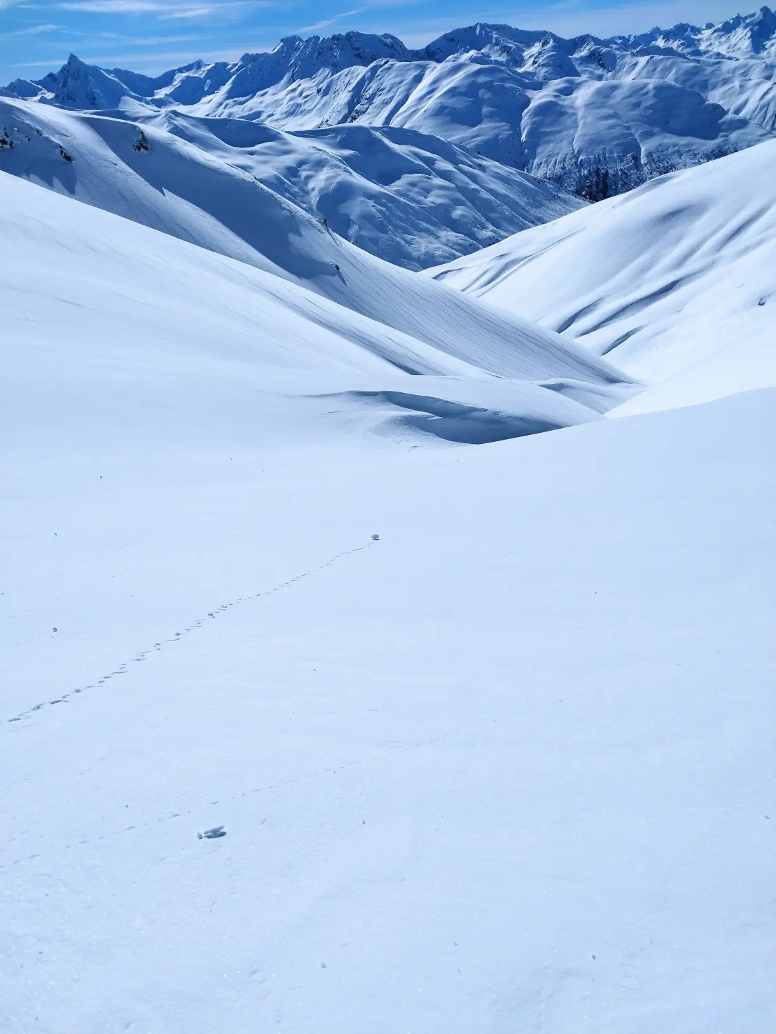 Skitour + Freeride Graubünden bei Bergspur