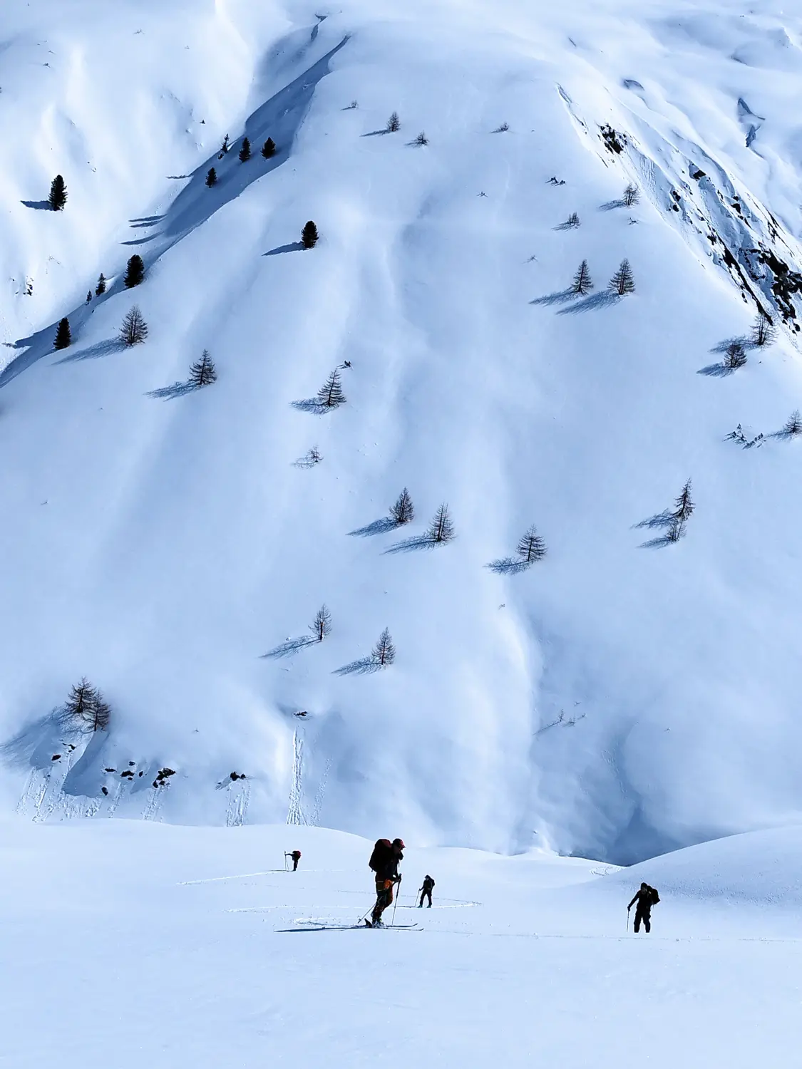 Skitour Berninapass-Livigno-Davos bei Bergspur